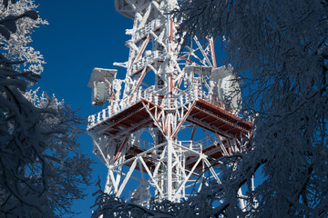 Zaśnieżona wieża telewizyjna w lesie
