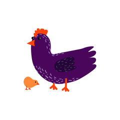 flat vector chicken on white background