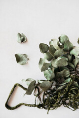 dried stabilized eucalyptus stems and leaves in green string bag on white background. reasonable consumption of things, well-being philosophy, interior natural print poster, selective focus