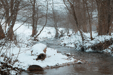 Creek in forest in winter
