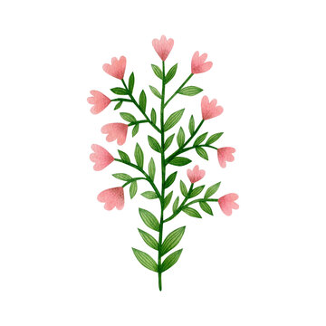 Watercolor drawing of a flower in folk art isolated on white background.