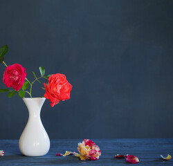roses in vase on dark blue background