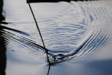 water flowing 