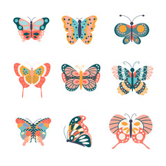 A group beautiful  butterflies illustration