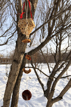 Handmade Edible Bird Feeder Outdoors At Winter Day. DIY And Kid's Creativity.