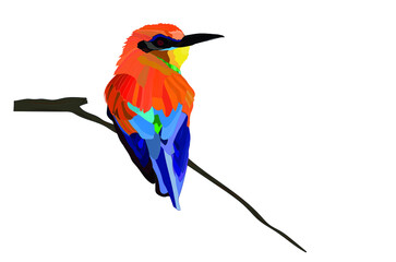 Colorful bird. Vector image. Bird: Bee-eater. Merops apiaster.
