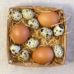 Bowl with quail eggs , eggs on a homespun napkin, boxwood nest on light background, top view clode up