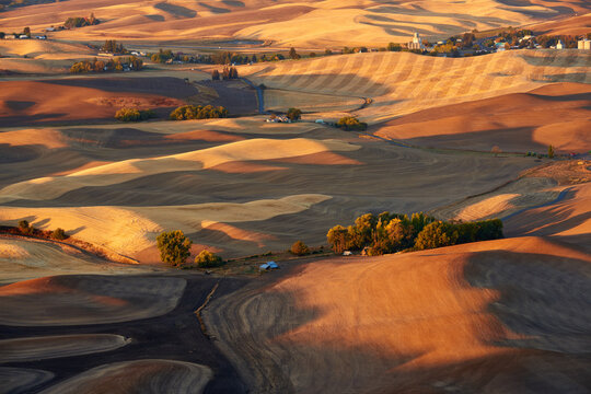 View of the farmland in the Palouse Hills region near Steptoe small rural town in Washington state in the autumn season at sunrise.