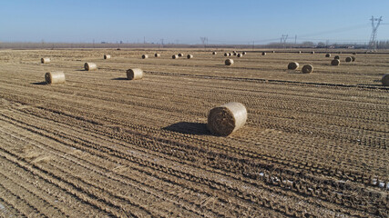 Farmers use agricultural machinery to compress rice straw and bundle them on a farm in North China