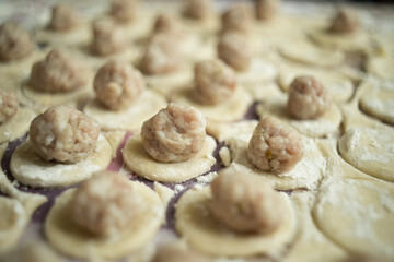 Meat filling on dough circles in the process of cooking dumplings close up
