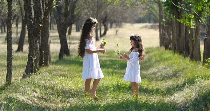 Two little Caucasian sisters with long brown hair  in flower wreaths dancing holding hands on nature background in spring forest. 4k 50 fps slow motion