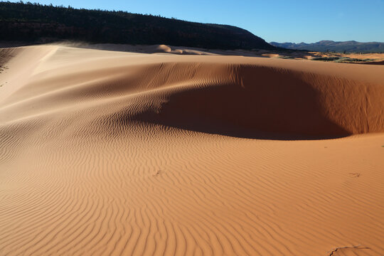  Early morning on the pink  sand dunes