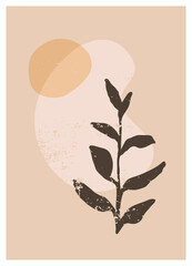 Vector boho aesthetic abstract botanical wall art poster print. Scandinavian cover design, neutral natural colors. Bohemian collage wall print. Mid Century Modern design. Plant poster art illustration © babayuka