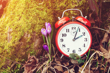 Alarm clock over spring natural background, flat lay. Daylight saving time reminder. Spring natural...