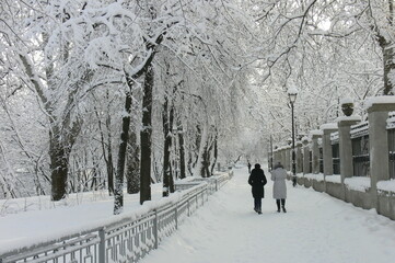 Alley of a snowy winter park with two women walking along it