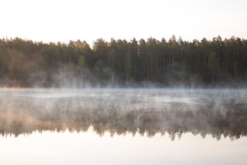 Cold summer morning in the forest with lake, forest reflection and mist on the water surface.