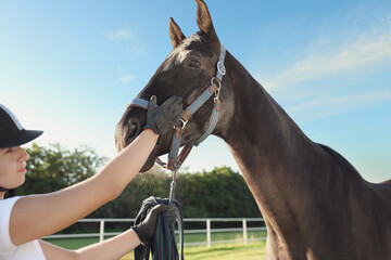 Young woman in horse riding suit and her beautiful pet outdoors on sunny day