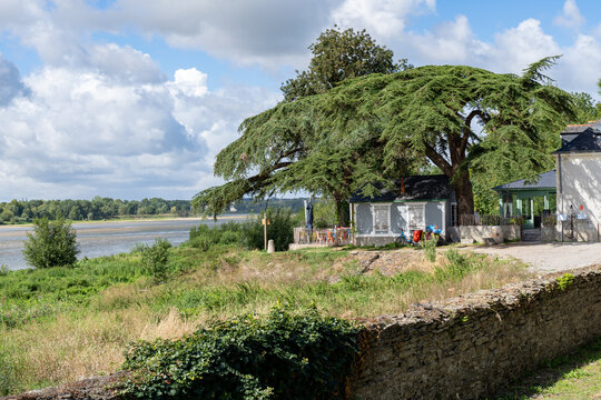 Sainte-Gemmes-sur-Loire, France - augustus 2020