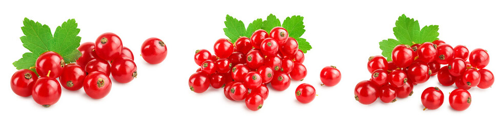 Red currant berries with leaf isolated on white background. Set or collection