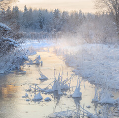Frosty morning on a forest stream. Leningrad region. russia