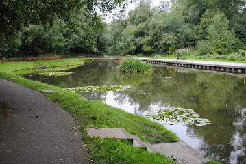 Towpath of Industrial Canal with Still Water Reflections and Trees 