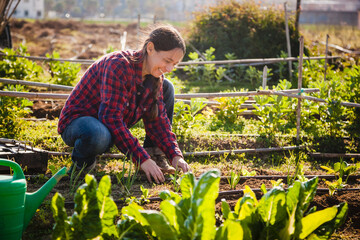 Young woman gardening in urban garden, concept sustainability and authentic lifestyle