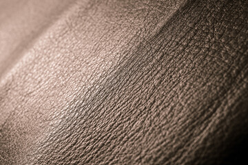leather background