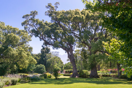 Vergelegen Wine Estate, South Africa