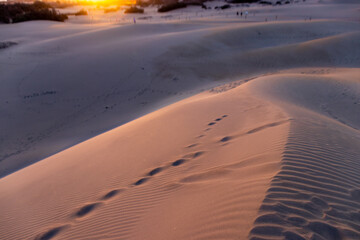 Pink desert sand dunes at sunset