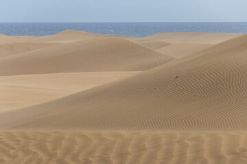 Desert dunes moved by the wind