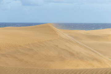 Fototapeta na wymiar Wind moving the dunes