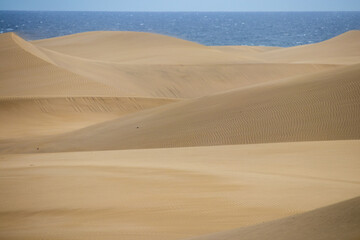 Maspalomas desert dunes Gran Canaria island Spain