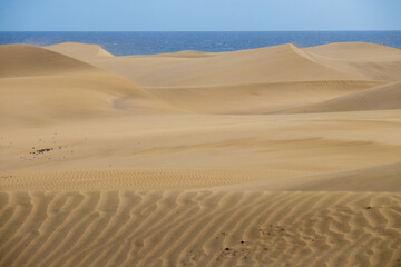 Gran Canaria Maspalomas desert dunes