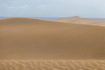 Desert Sand Pattern