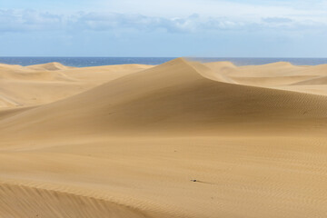 Fototapeta na wymiar Maspalomas desert dunes Gran Canaria island Spain