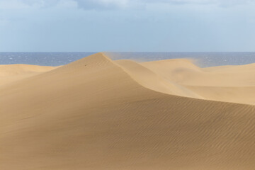 Fototapeta na wymiar Maspalomas desert dunes Gran Canaria island Spain