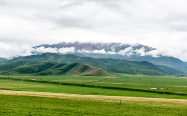 Fototapeta na wymiar Qilian prairie, Qinghai Province, China