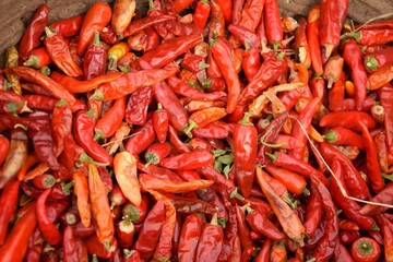 red hot chili  