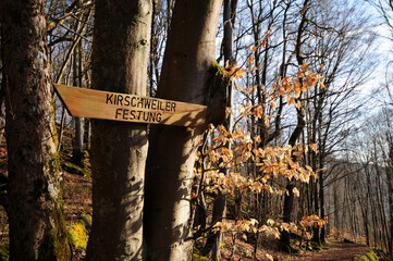 Traumschleife Kirschweiler Festung im Nationalpark Hunsrück-Hochwald