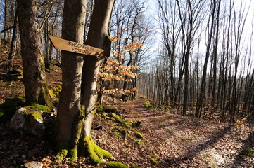 Traumschleife Kirschweiler Festung im Nationalpark Hunsrück-Hochwald