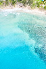 Seychelles beach Mahé Mahe island sea copyspace portrait format vacation ocean drone view aerial photo