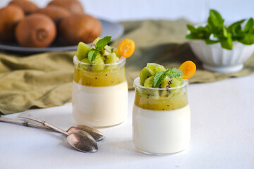 Italian dessert panna cotta in glass jars with kiwi fruit jelly decorated with pieces of fresh kiwi and mint leaf on white background. Copy space