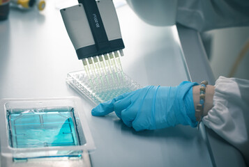Closeup of the blue gloved hands of a scientist during a multichannel pipette test in a 96 well...