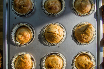 small vanilla and chocolate muffins illuminated by the morning light ready for breakfast