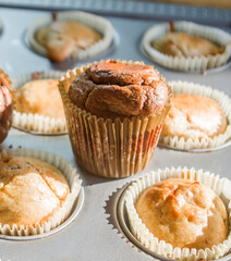 small vanilla and chocolate muffins illuminated by the morning light ready for breakfast