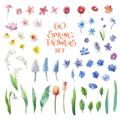 Watercolor spring flowers set. 60 different vector and decor elements for design. Isolated on white background.