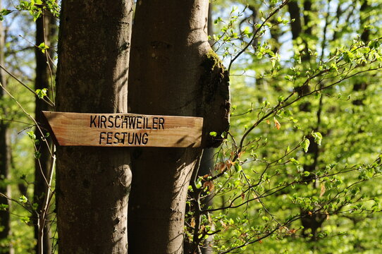 Traumschleife Kirschweiler Festung im Nationalpark Hunsrück-Hochwald