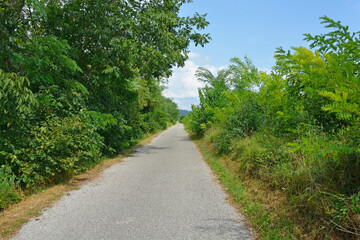 Fototapeta na wymiar An unmarked cycle lane in rural Friuli-Venezia Giulia, north east Italy, near Cividale del Friuli