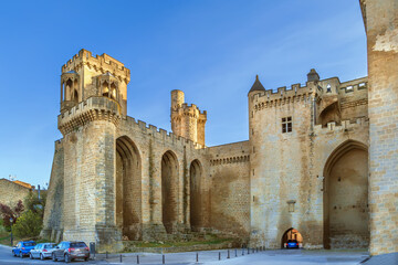 Fototapeta premium Palace of the Kings of Navarre, Olite, Spain