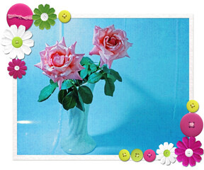 Twin pink roses in white vase on light blue background
